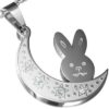 Dije de Acero Inox Plata Diseño Conejo de la Luna