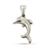 Dije Acero Inox Plateado Delfin Simbolo Proteccion Suerte