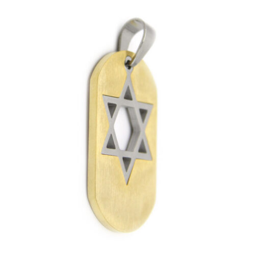 1201-0-Dije-Acero-Inox-Placa-Dorada-Estrella-De-David-Plateada.jpg