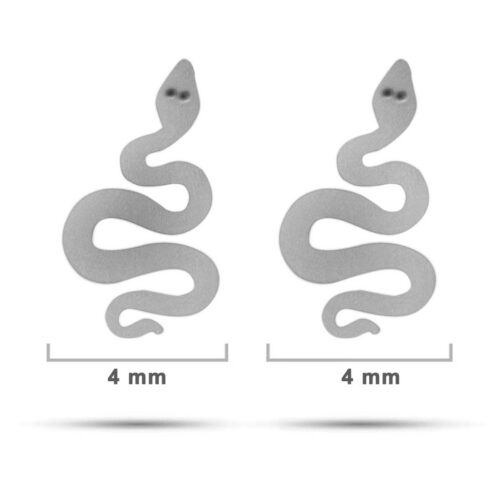 Arete-Tipo-Broquel-Plateado-Pequena-Serpiente-Vibora.jpg