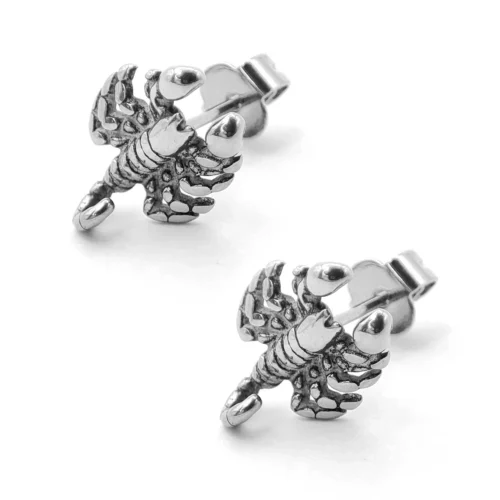Aretes-Acero-Inox-Plateado-Broquel-Escorpion-Alacran-1.webp