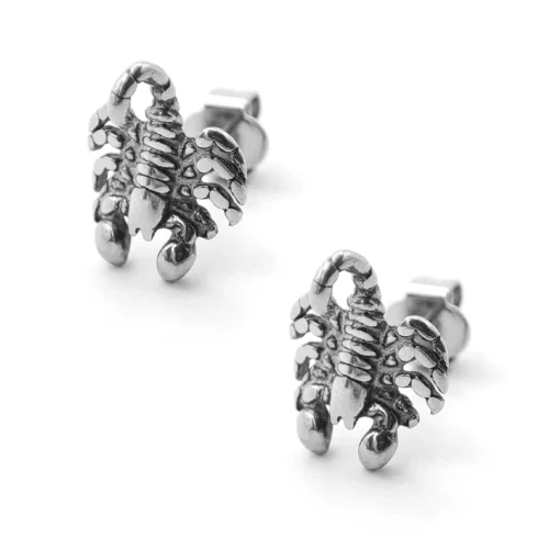 Aretes-Acero-Inox-Plateado-Broquel-Escorpion-Alacran-2.webp