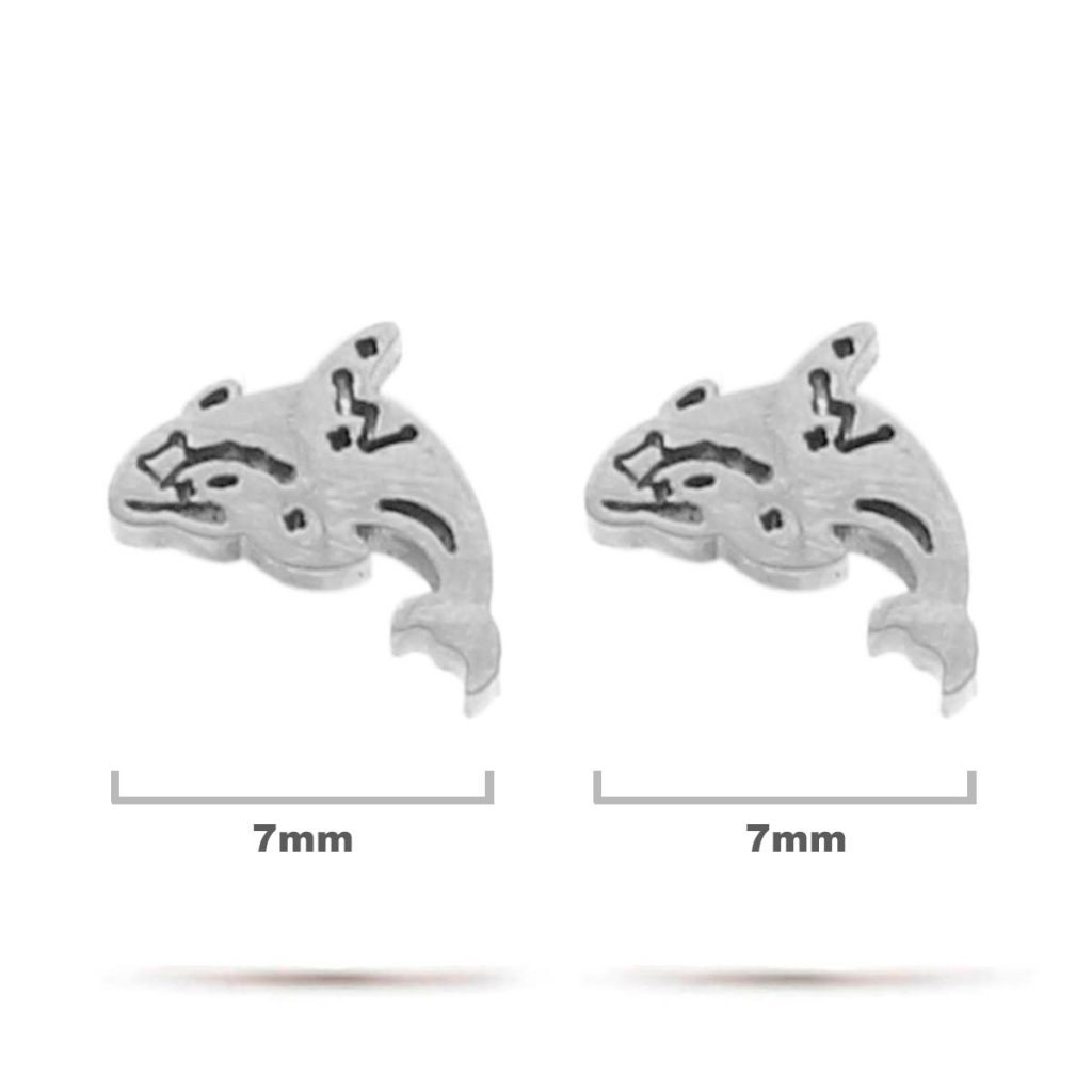 Aretes Acero Inox Plateado Tipo Broquel Ballena Saltando