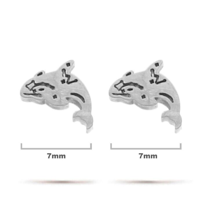 Aretes-Acero-Inox-Plateado-Tipo-Broquel-Ballena-Saltando.jpg