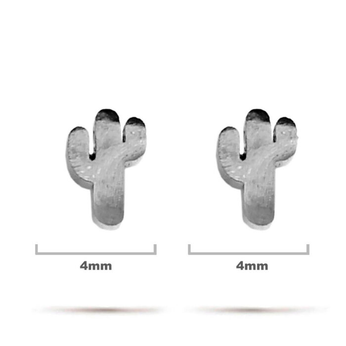 Aretes-Acero-Inox-Plateado-Tipo-Broquel-Cactus-Sahuaro.jpg
