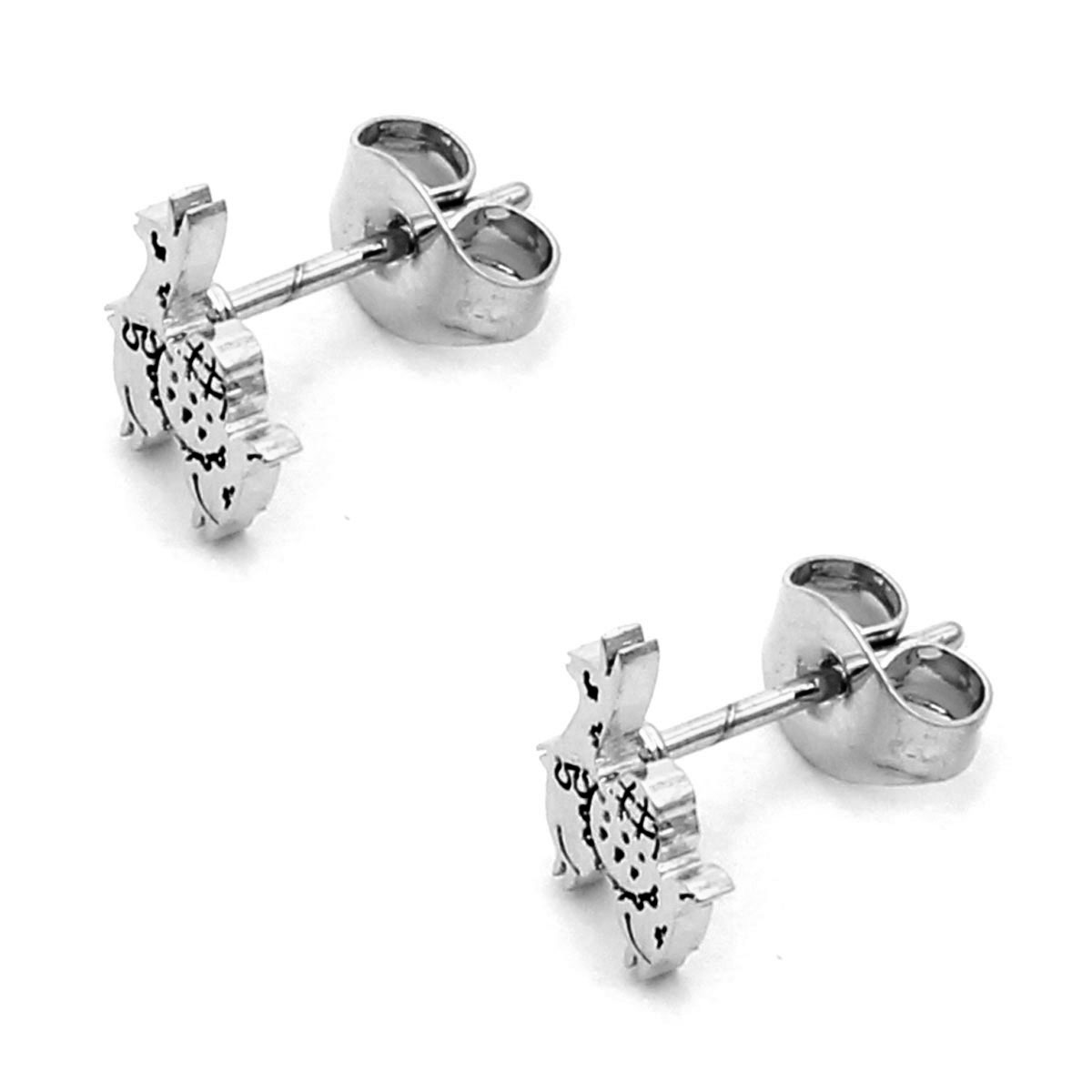 Aretes Acero Inox Plateado Tipo Broquel Llama Andina 2