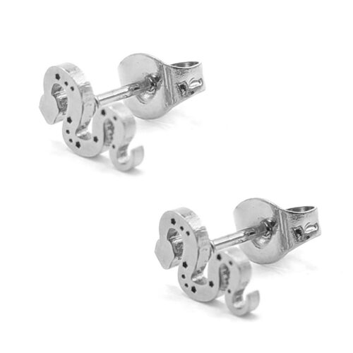 Aretes-Acero-Inoxidable-Plateado-Tipo-Broquel-Serpiente-2.jpg