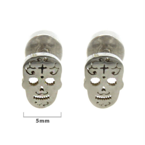 Aretes-Tipo-Broquel-Dormilon-Acero-Inox-Plateado-Catrina.jpg