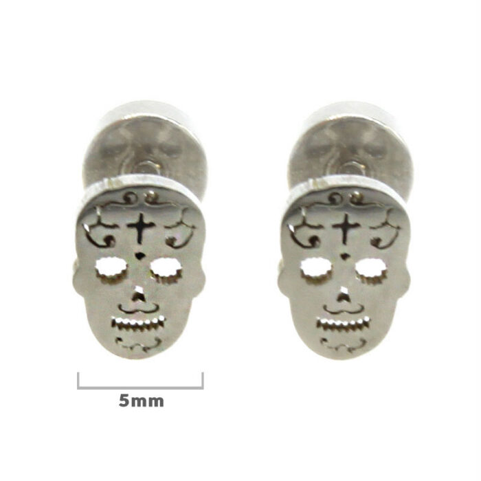Aretes-Tipo-Broquel-Dormilon-Acero-Inox-Plateado-Catrina.jpg