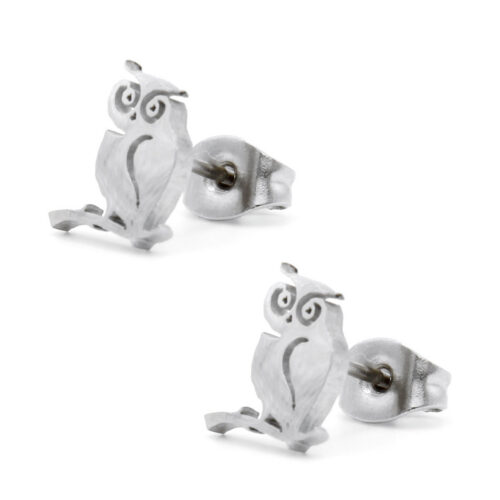 Aretes-Tipo-Broquel-Dormilon-Acero-Plateado-Buho-en-Rama-2.jpg