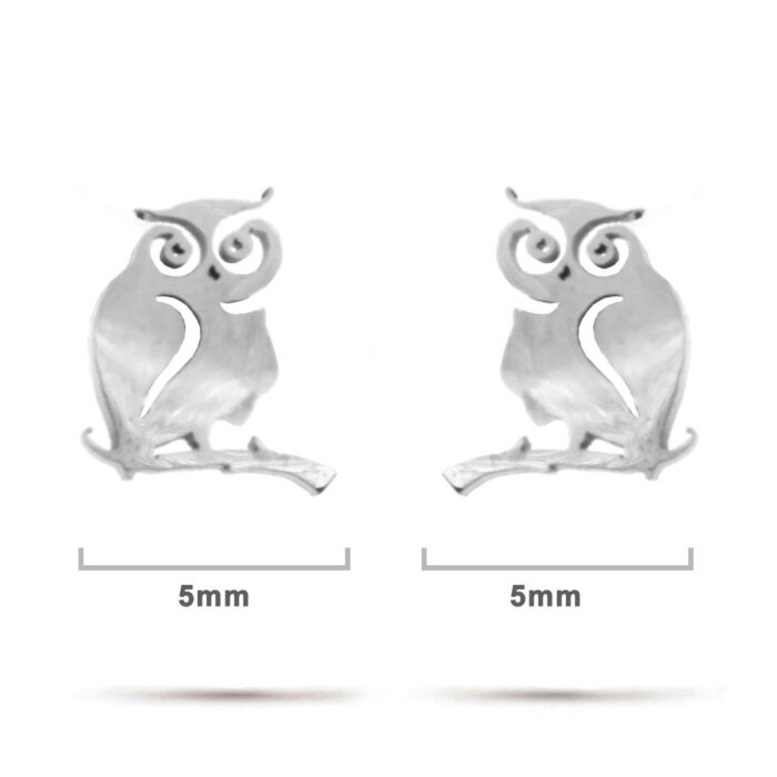 Aretes-Tipo-Broquel-Dormilon-Acero-Plateado-Buho-en-Rama.jpg