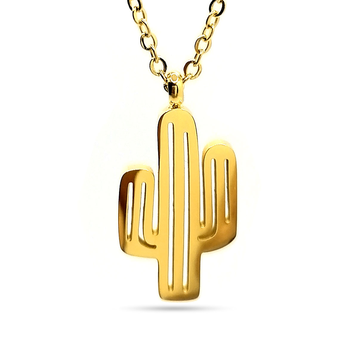 Collar Acero Dorado Cactus Sahuaro Naturaleza Desierto