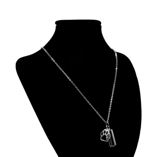 Collar-Acero-Inox-Plateado-Urna-Cenizas-Mascota-Huella-3.webp