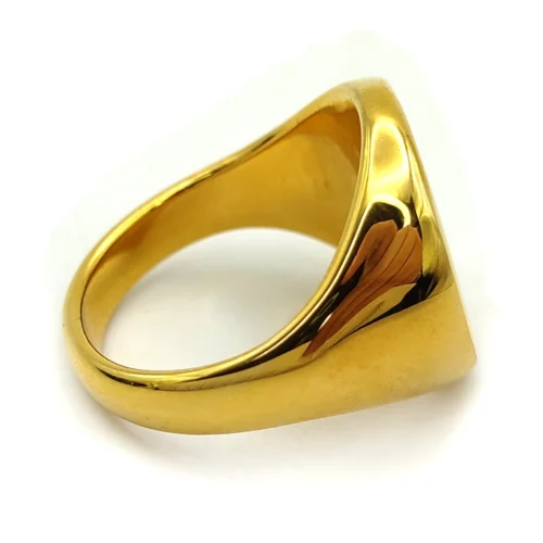 Anillo-Acero-Dorado-Circular-Plano-Mano-con-Planta-3.webp