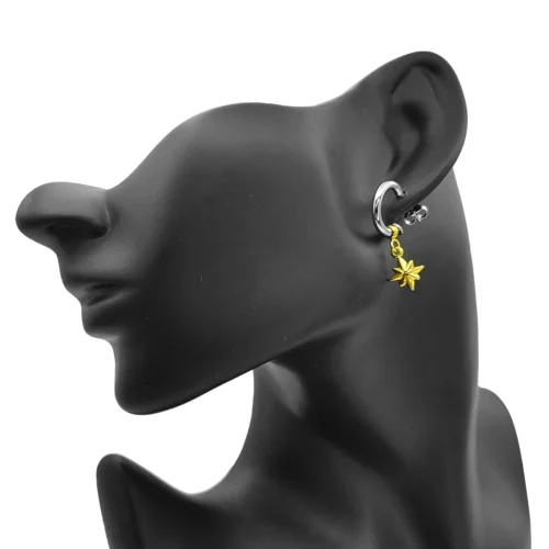 Aretes Acero Bicolor Media Arracada Estrella Seis Puntas (4)