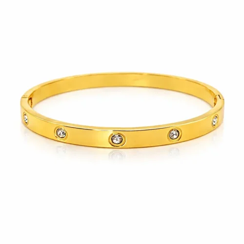 Pulsera Acero Brazalete Zirconias Circulares Sencillo (6)