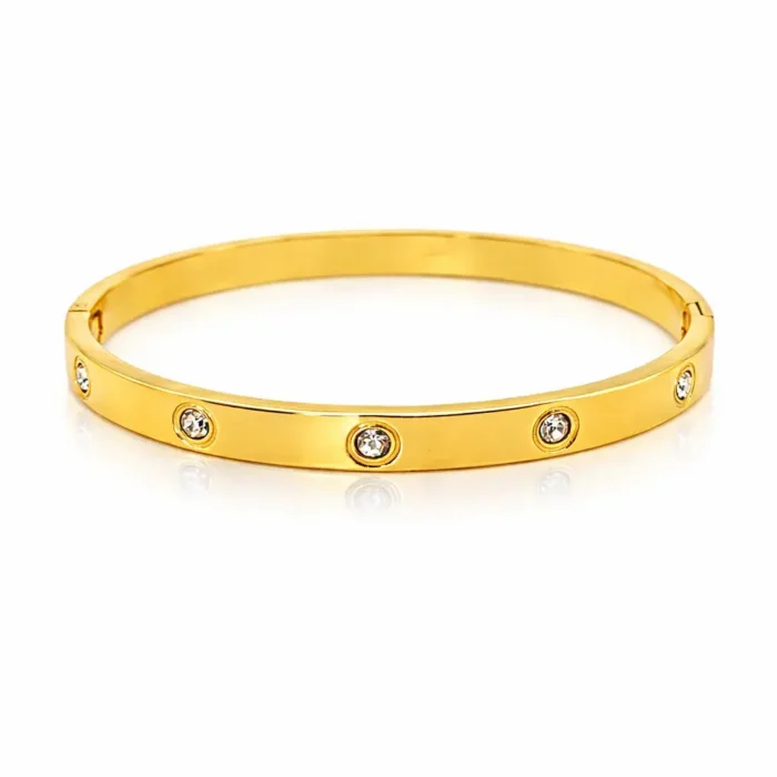 Pulsera Acero Brazalete Zirconias Circulares Sencillo (6)