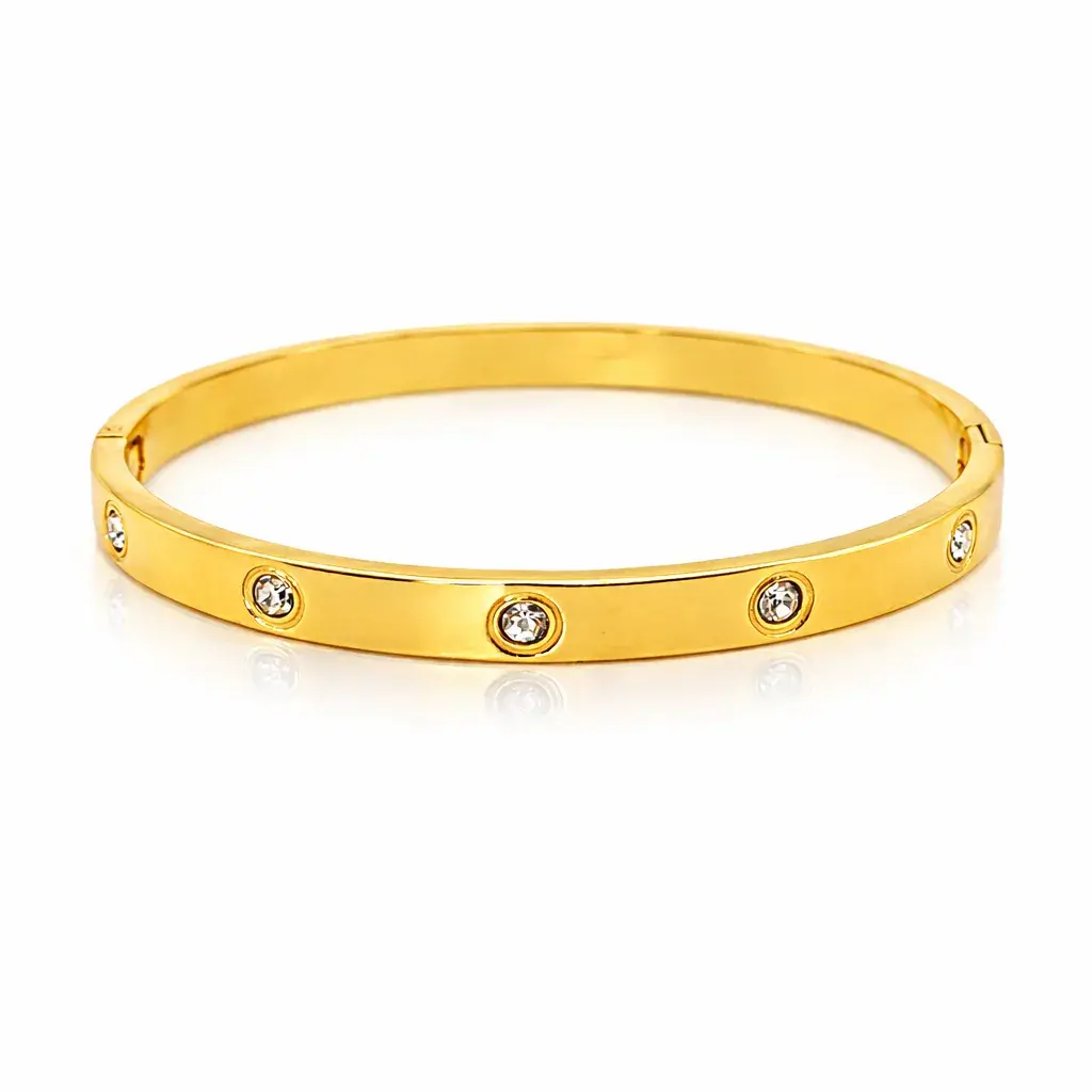 Pulsera Acero Brazalete Zirconias Circulares Sencillo 6