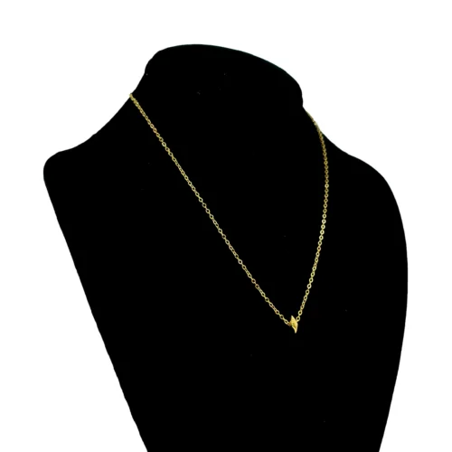 Collar Acero Dorado Mini Concha de Caracol Mar 8 mm (3)