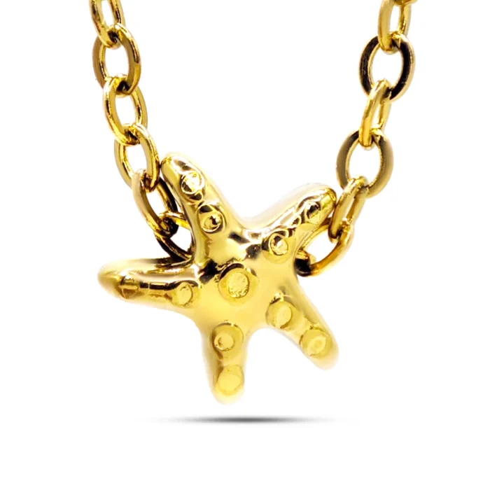 Collar Acero Dorado Mini Estrella de Mar 8 mm (1)