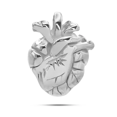 Dije Acero Inox Corazón Anatómico Humano Realista Amor (4)