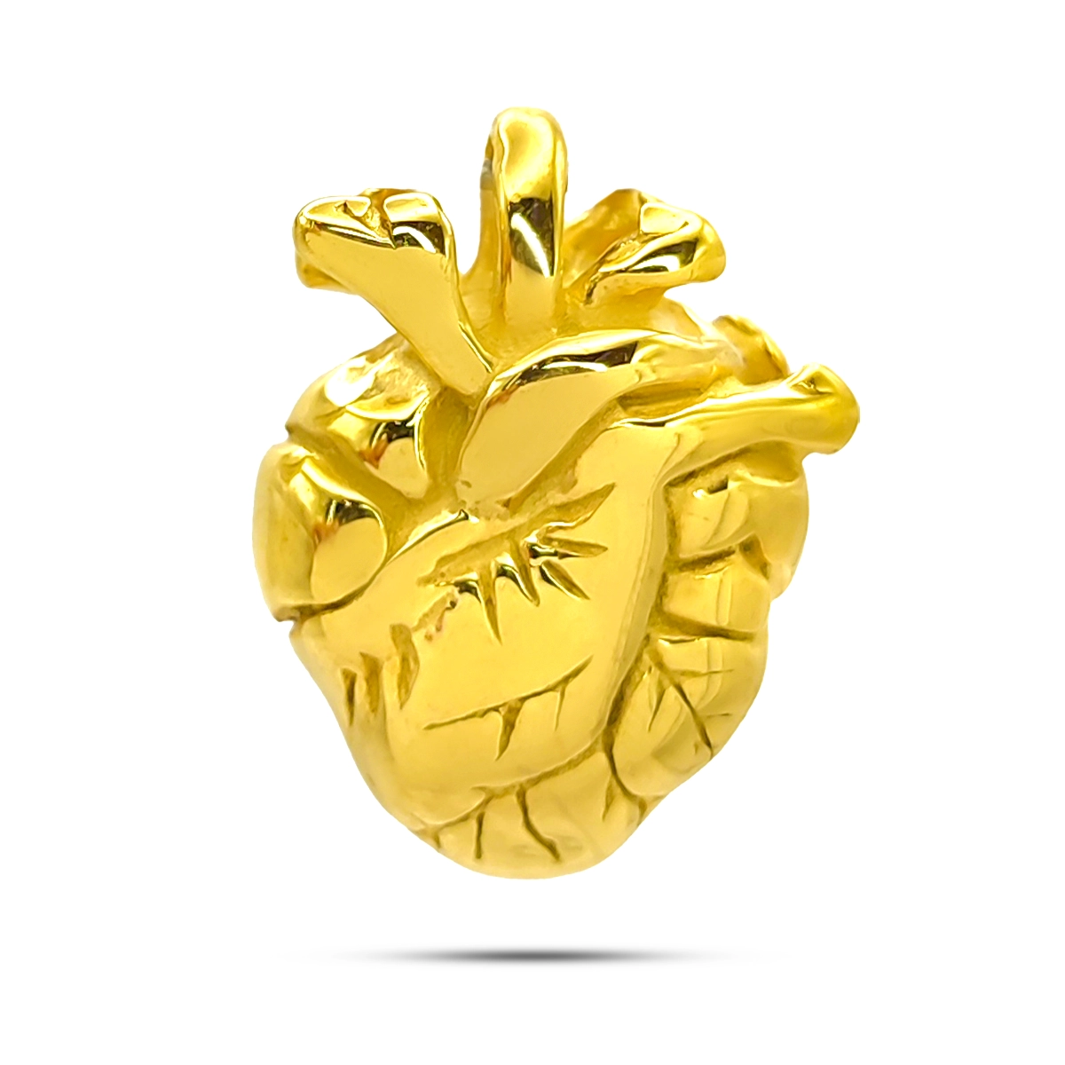 Dije Acero Inox Corazon Anatomico Humano Realista Amor 6